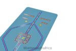 Yoga Mats Liforme Kids Playful Yoga Mat Blue 6268675 - Image 4