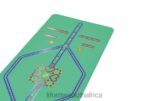 Yoga Mats Liforme Kids Playful Yoga Mat Green 6268667 - Image 4