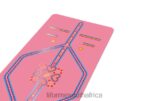 Yoga Mats Liforme Kids Playful Yoga Mat Pink 6268665 - Image 4